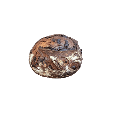 Double Chocolate Chunk